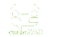 Chat SAR